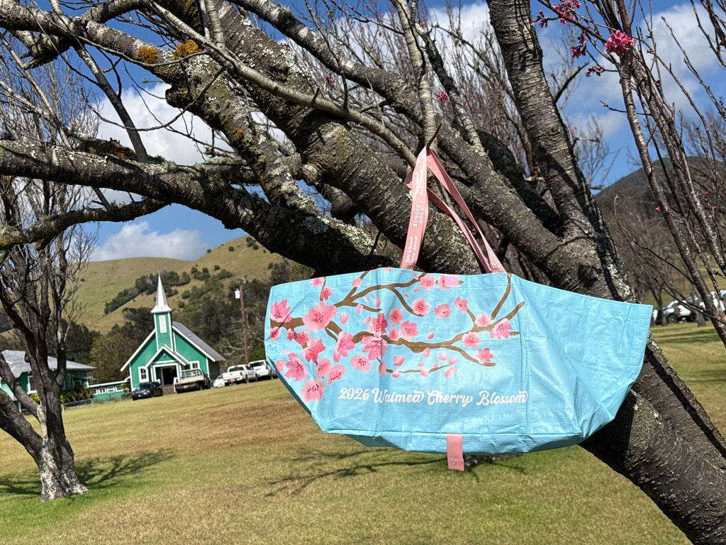 BOMBUCHA X Akau Ohana | Sky Blue Waimea Cherry Blossom